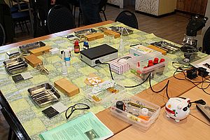 Workshop